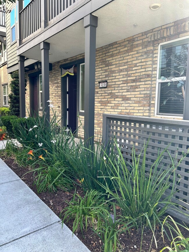 property at 3138 Aran Way