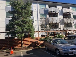 10501 8th Ave NE, Unit 234 in Seattle, WA - Building Photo
