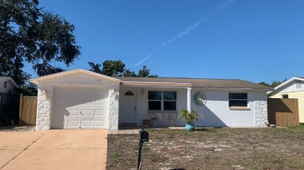 9125 Sterling Ln in Port Richey, FL - Building Photo