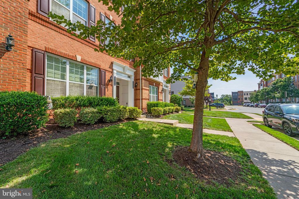 23548 Belvoir Woods Terrace in Ashburn, VA - Building Photo