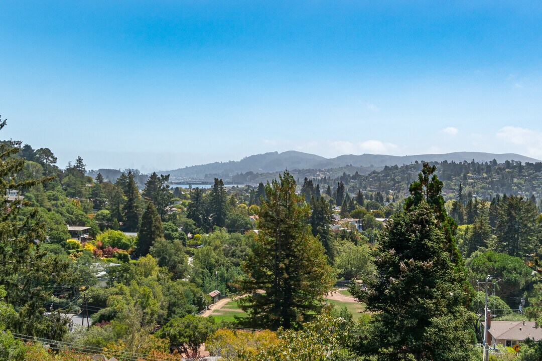 24 Hillcrest Rd in Mill Valley, CA - Foto de edificio