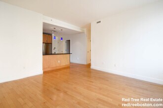 181 Essex St, Unit 302 in Boston, MA - Foto de edificio - Building Photo