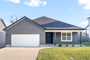 1163 Eagles Nest Ln in Clarksville, TN - Building Photo