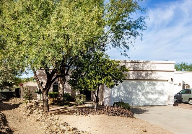 3935 N Vine Tree Pl in Tucson, AZ - Building Photo - Building Photo
