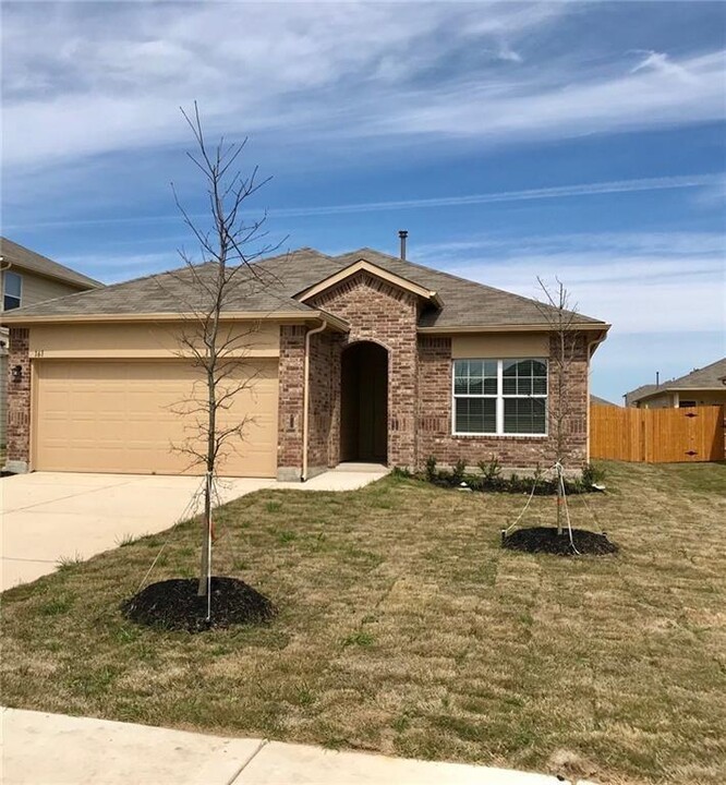 161 Cherry Blossom Dr in Kyle, TX - Foto de edificio