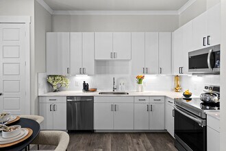 Luxe of Denton in Denton, TX - Building Photo - Building Photo