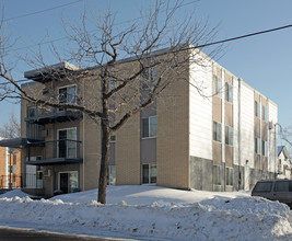 580 Minnehaha Ave E in St. Paul, MN - Foto de edificio - Building Photo