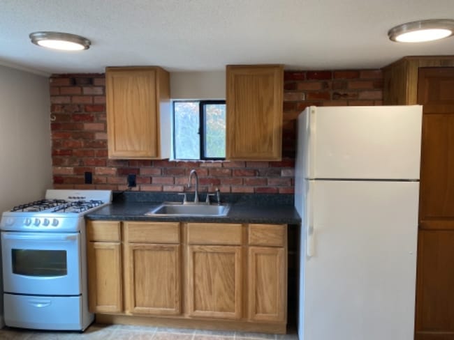 339 Village St in Millis-Clicquot, MA - Foto de edificio - Building Photo