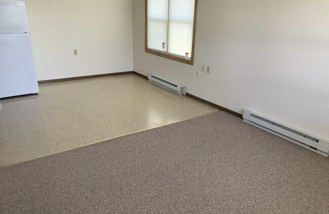 Monroe City Senior Housing 62+ in Monroe City, MO - Building Photo - Building Photo