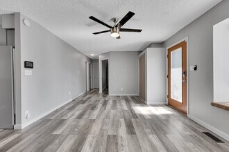 4031 Shelley Ave in Colorado Springs, CO - Building Photo - Building Photo