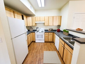 Paloma Villas in Denver, CO - Foto de edificio - Building Photo