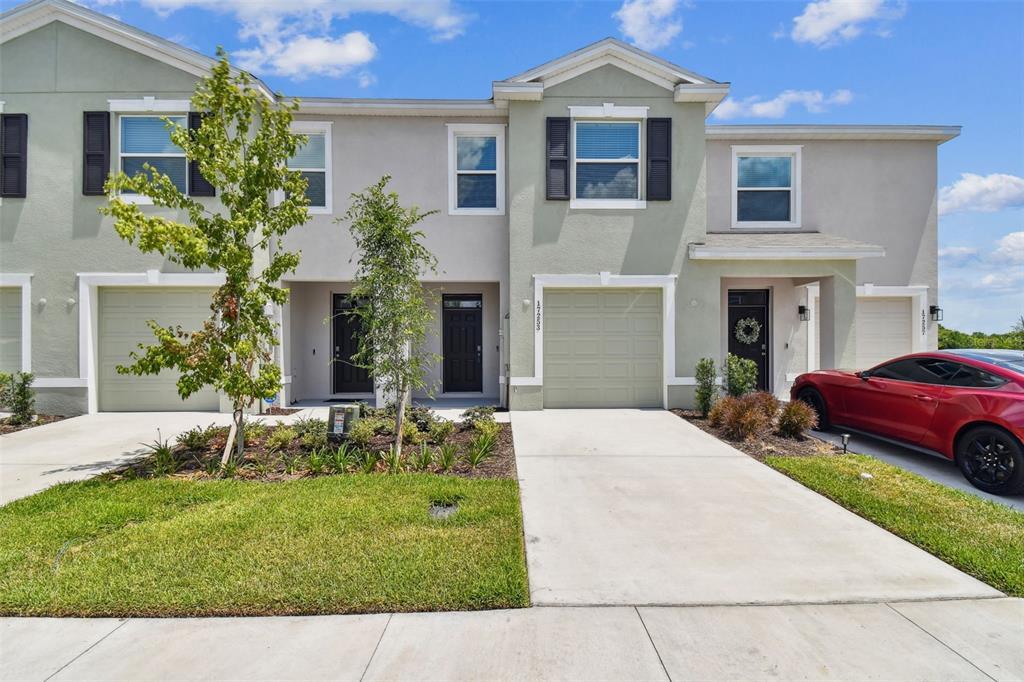 17253 Amber Aspen Wy in Land O Lakes, FL - Building Photo