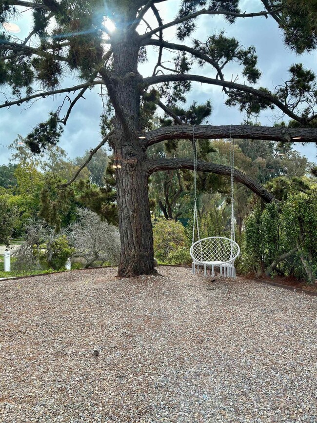 4856 Pacifica Dr in San Diego, CA - Building Photo - Building Photo
