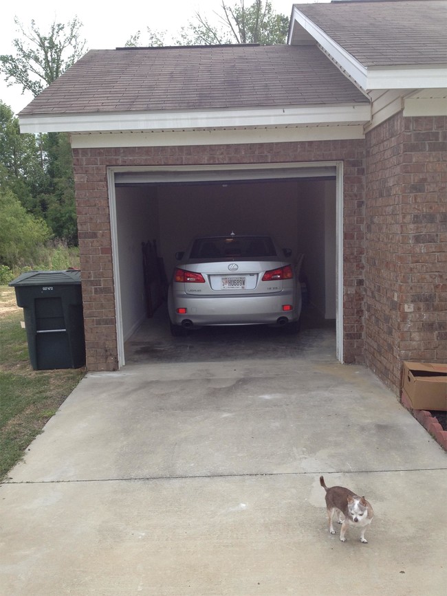 5044 Scotch Pine Ave in Statesboro, GA - Building Photo - Building Photo