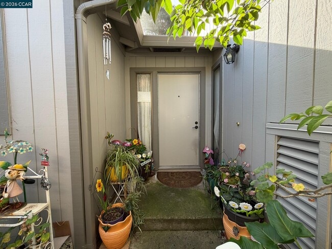 6 Basin Ct in Hercules, CA - Building Photo - Building Photo