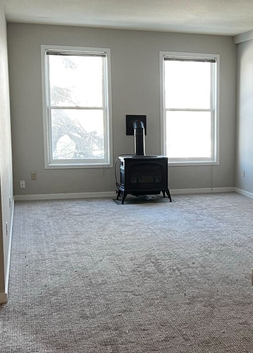 525 Red Lady Ave in Crested Butte, CO - Building Photo