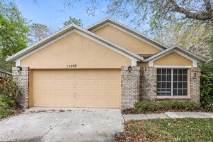 13709 Valleybrooke Ln in Orlando, FL - Building Photo