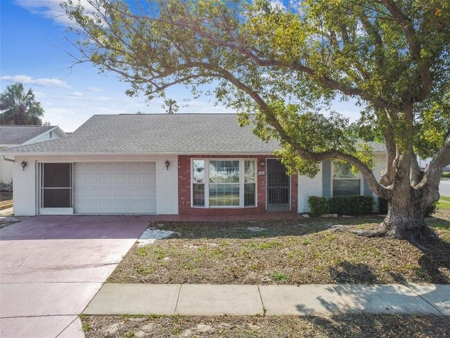11611 Bear Paw Ln in Port Richey, FL - Building Photo - Building Photo
