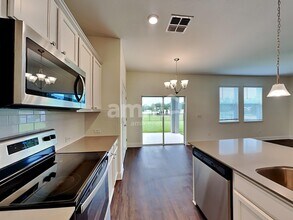 20379 Calla Lily Dr in Land O Lakes, FL - Building Photo - Building Photo
