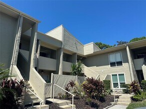 514 Windrush Bay Dr in Tarpon Springs, FL - Building Photo - Building Photo