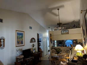 1320 Daffodil Pl in Dunedin, FL - Building Photo - Building Photo