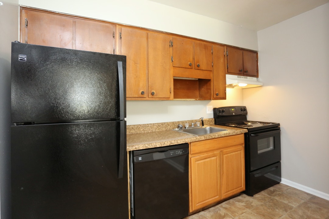 The Cove Apartments in Roanoke, VA - Building Photo