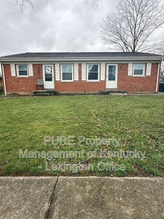 313 Radcliffe Rd in Lexington, KY - Building Photo