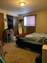 4832 Basswood Dr in Loveland, CO - Building Photo - Building Photo