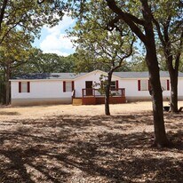 282 Texas Oak Dr in Cedar Creek, TX - Building Photo