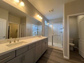 1007 Home Stretch Ln in Minden, NV - Building Photo - Building Photo