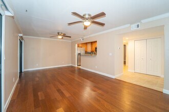 6 Alcira Ct in St. Augustine, FL - Building Photo - Building Photo