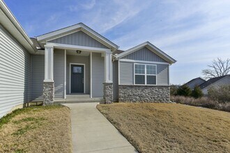 343 Holts Lake Dr in Branson, MO - Building Photo - Building Photo