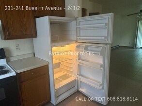 231-241 N Burritt Ave in Wisconsin Dells, WI - Building Photo - Building Photo
