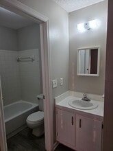 2031 Pine Chace Ct in Tampa, FL - Foto de edificio - Building Photo