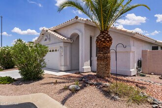 11657 W Pincushion Ct in Surprise, AZ - Building Photo - Building Photo