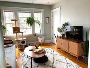 50 Boylston St in Boston, MA - Building Photo - Building Photo