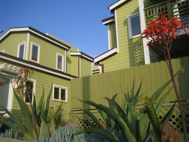 The Bungalows at Ocean Park in Santa Monica, CA - Building Photo - Building Photo