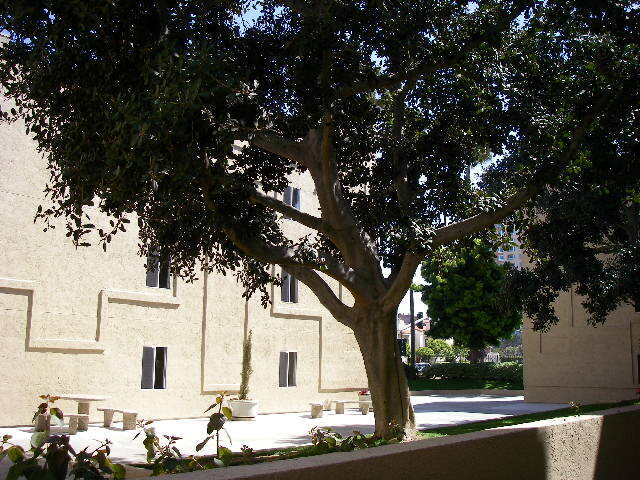 3440 Lebon Dr, Unit Grnd Flr in San Diego, CA - Building Photo - Building Photo