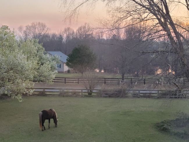 property at 359 Homestead Ln