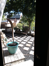 28831 Shady Ln in Laguna Beach, CA - Building Photo - Building Photo