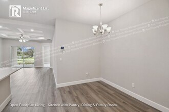 8544 Magnificent Ln in Groveland, FL - Building Photo - Building Photo