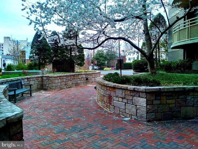 7111 Woodmont Ave in Bethesda, MD - Building Photo - Building Photo