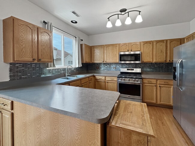 766 Cherry Creek Dr in Grayslake, IL - Building Photo - Building Photo