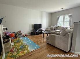 37 Village Dr in Quincy, MA - Building Photo