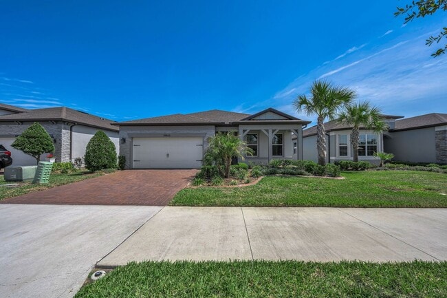 19865 Sea Glass Cir in Land O Lakes, FL - Building Photo - Building Photo