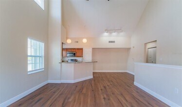 10568 Windsor Lake Ct in Westchase, FL - Building Photo - Building Photo