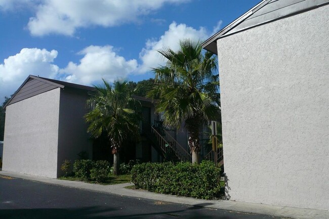 1323 Baywatch Loop in Tampa, FL - Building Photo - Building Photo