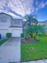 4013 Wild Senna Blvd in Tampa, FL - Building Photo - Building Photo