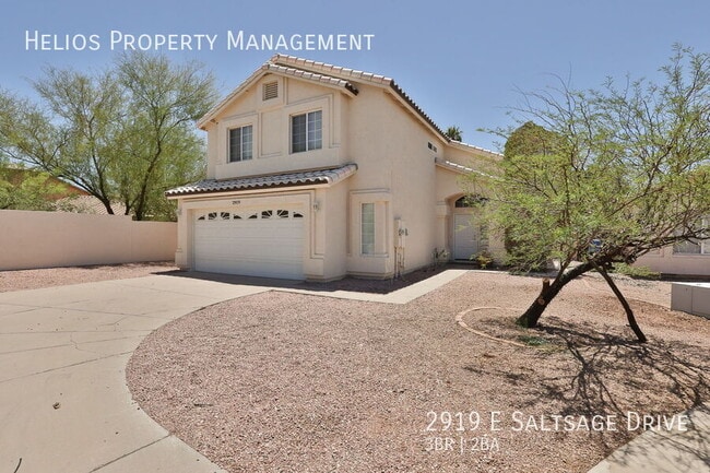 property at 2919 E Saltsage Dr