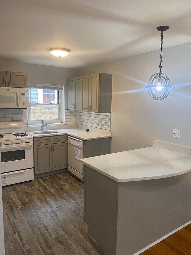 7361 N Ridge Blvd in Chicago, IL - Building Photo - Building Photo